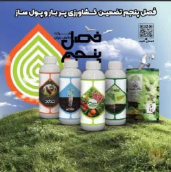 نمونه کار فصل پنجم  در شیراز - 1