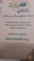 نمونه کار شرکت زیتون برگ سبز کناره در فریدون کنار - 1