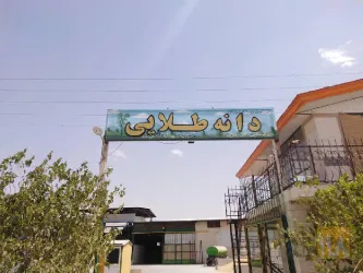 نمونه کار شرکت دانه طلایی در کرمانشاه - 1