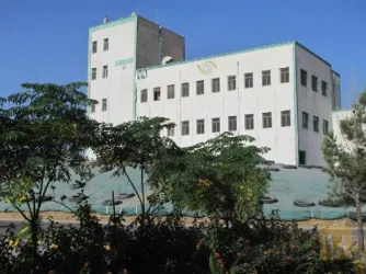 نمونه کار آرد نگین گل شرق در گناباد - 1