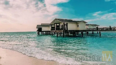 نمونه کار سپید پرواز توس در مشهد - 1
