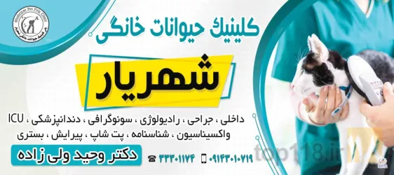 نمونه کار بیمارستان حیوانات خانگی گلدن در تبریز - 1