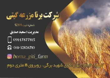 نمونه کار شرکت  در  - 1
