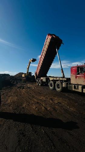 خاک پوششی قارچ، تولید کمپوست گیاهی در بندر انزلی