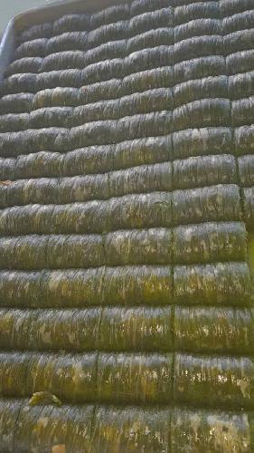 تولید باقلوا  در تبریز