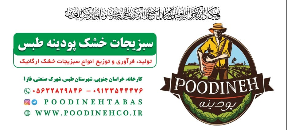 کارخانه سبزی خشک کنی پودینه طبس در طبس محصولات غذایی در طبس