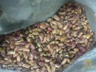 نمونه کار ترمینال ضبط پسته در مه ولات - 2