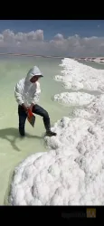 نمونه کار نمک متین در مهاباد - 2