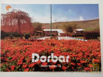 نمونه کار شرکت مرغ مادر دربار در بروجرد - 2