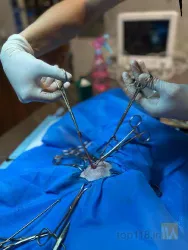 نمونه کار کلینیک اختصاصی حیوانات خانگی پت هاوس در تبریز - 2