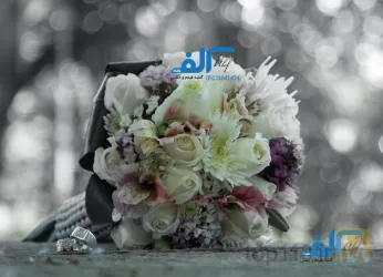 نمونه کار عکس و فیلم در تبریز - 2