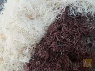 نمونه کار باقلوا تقی پور  در تبریز - 1