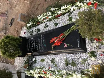 نمونه کار سنگ فخری  در تبریز - 2