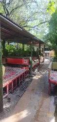 نمونه کار رستوران سنتی باغ سبز  در تبریز - 2
