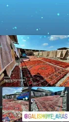 نمونه کار قالیشوئی و مبل شویی ارس  در تبریز - 2