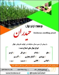 نمونه کار نهالستان حیدران  در شبستر - 2