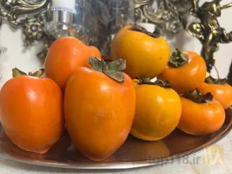 نمونه کار شرکت تک گل آذربایجان - نهالستان تقی زاده  در گوگان - 2