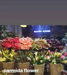 نمونه کار گل پارمیدا  در تبریز - 2