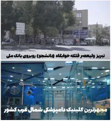 نمونه کار کلینیک حیوانات خانگی دکتر سینا یعقوبی  در تبریز - 2