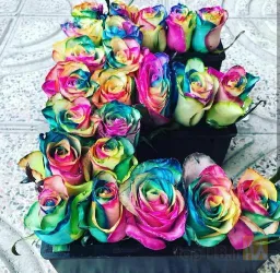 نمونه کار گلفروشی دنیای رز (world of ros) در تبریز - 2