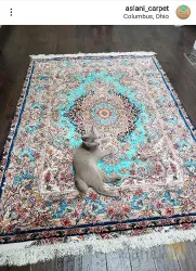نمونه کار گالری فرش اصلانی  در تبریز - 2