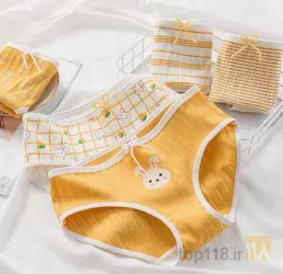 نمونه کار لباس زیر تبریز(بهتریه) در تبریز - 2
