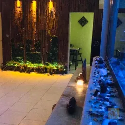 نمونه کار اسپا ماساژ عالی در تبریز - 2