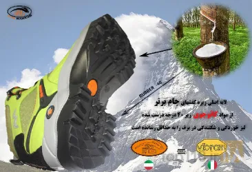 نمونه کار کارخانه کفش جام برتر در تبریز - 2