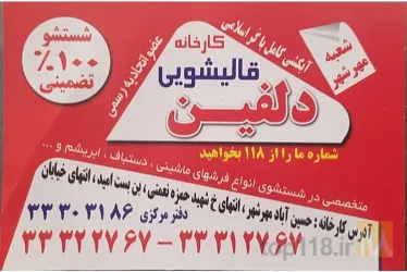 نمونه کار کارخانه قالیشویی و مبل‌شویی دلفین در کرج - 2