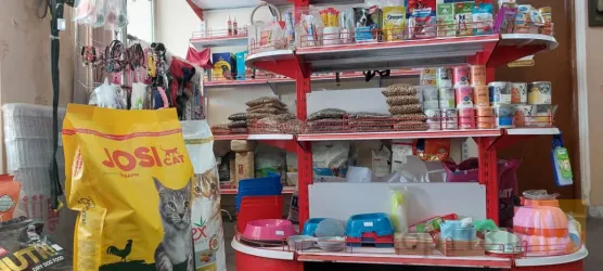 نمونه کار کلینیک دامپزشکی دکتر قدسی خورسند در صومعه سرا - 2