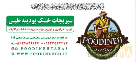 نمونه کار کارخانه سبزی خشک کنی پودینه طبس در طبس - 2