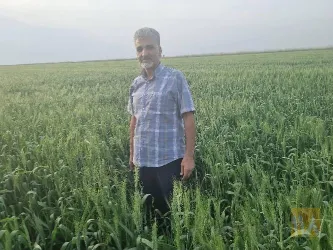 نمونه کار شرکت آریا کشت خوزستان در اهواز - 2