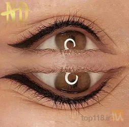 نمونه کار فیبروز ابرو - آرایش دایم در تبریز - 2