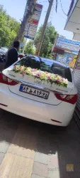 نمونه کار گلسرای لاله در مرند vip در مرند - 2