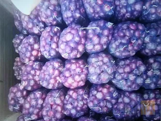 نمونه کار شرکت لادیز تجارت ستاره بلوچستان  در تهران - 2