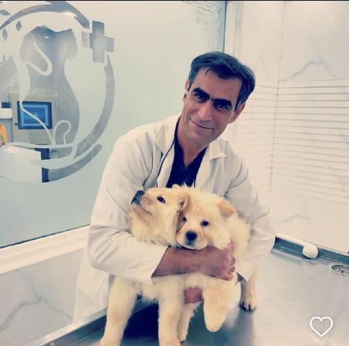کلینیک دامپزشکی دام طب در اصفهان دامپزشکی در اصفهان