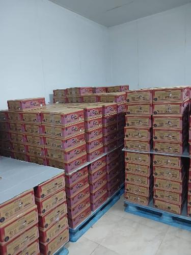  لبنیات و انواع خامه قنادی : تولید و توزیع در مریوان