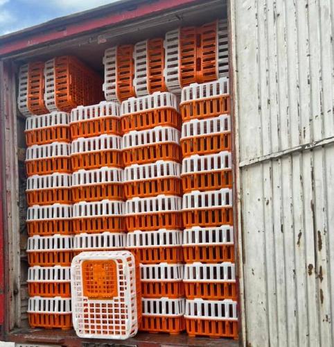 پاکت و جعبه  - تولید و یا پخش در یزد