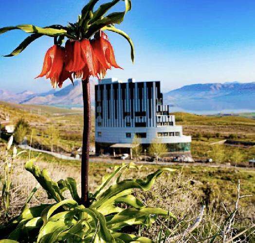 هتل در چغاخور