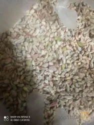 نمونه کار ترمینال ضبط پسته در مه ولات - 3
