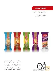 نمونه کار شرکت شورچین برند تجاری راشین در تبریز - 3
