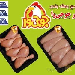 نمونه کار بسته بندی طیور جوجی وا در قم - 3