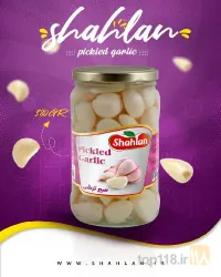نمونه کار صنایع غذایی شهلان  در  - 3