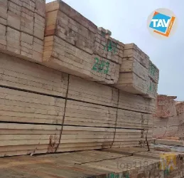 نمونه کار ترخیص کالا از تمامی گمرکات ایران در تبریز - 3