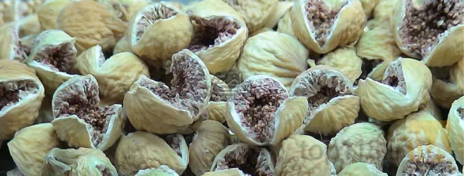 نمونه کار آجیلی تواضع شهناز  در تبریز - 3