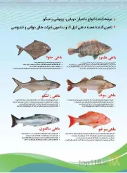 نمونه کار بازار ماهی تبریز در تبریز - 3