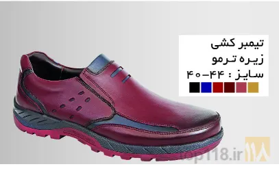 نمونه کار تولیدی کفش طاها  در تبریز - 3