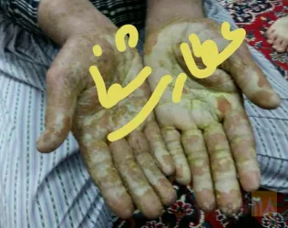 نمونه کار عطاری شفا  در تبریز - 3