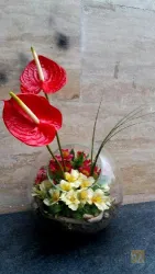 نمونه کار گل فروشی سفیر گل  در تبریز - 3