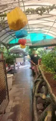 نمونه کار رستوران سنتی باغ سبز  در تبریز - 3